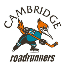 Cambridge roadrunners Girls' Hockey Association
